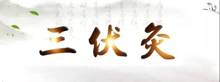 艾灸冬病夏治，春夏養陽(yáng)，三伏灸果真如此神奇？