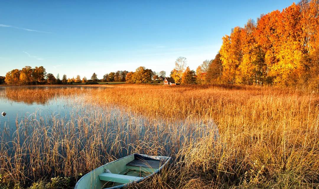 多事之秋多艾灸，秋季需要做艾灸的三大原因