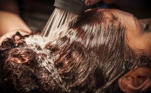 農村遍地的艾草煮水洗頭，長(cháng)期堅持，3大好處老少皆宜！