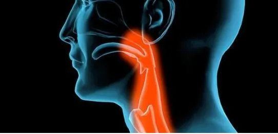 這個(gè)穴位祛痰濕，專(zhuān)克咳嗽痰多、肥胖結節！