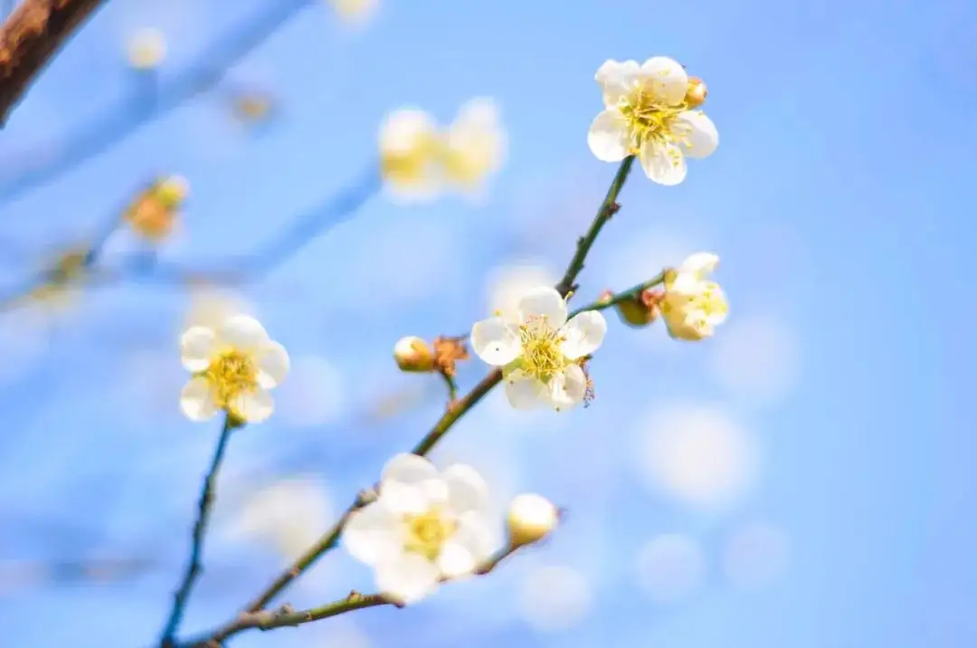 “女人的腳、男人的背”不能受寒，易落下病根!