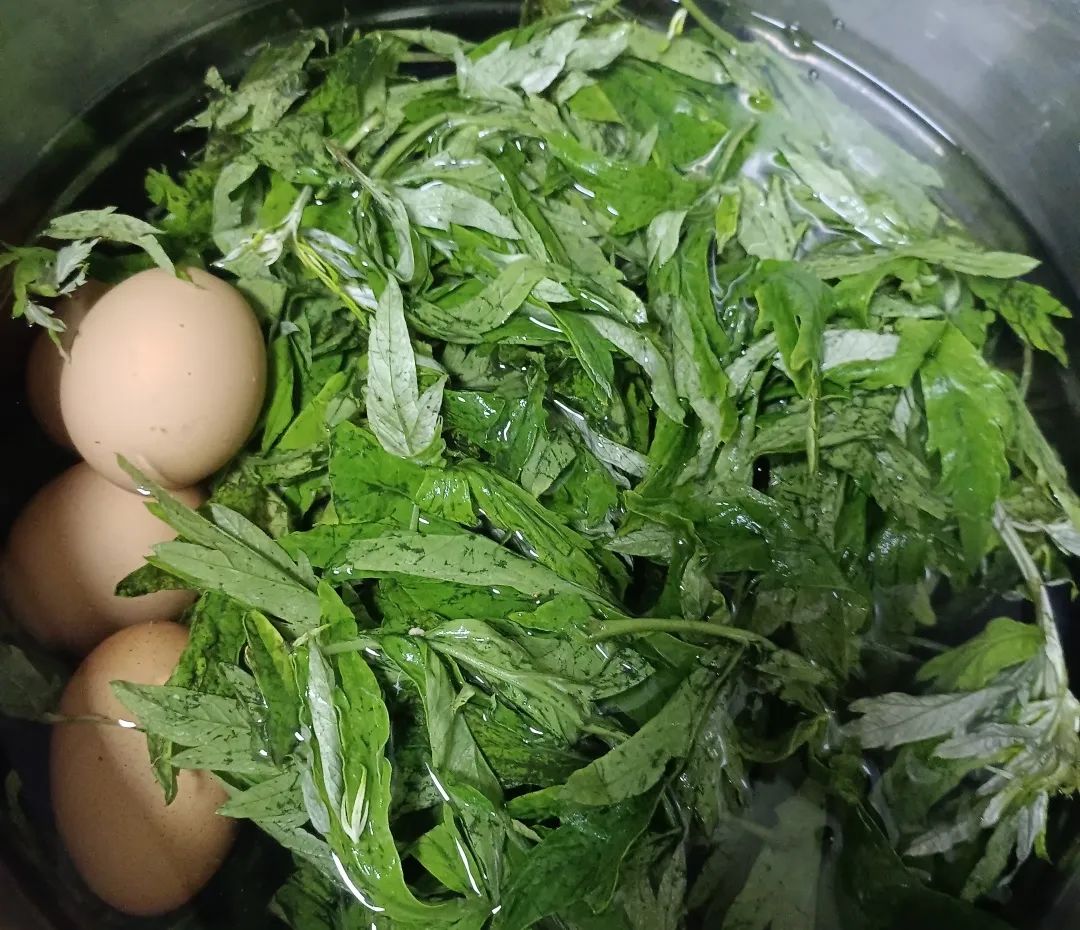 一天一個(gè)艾葉煮雞蛋，這三種好處，很少有人知道！