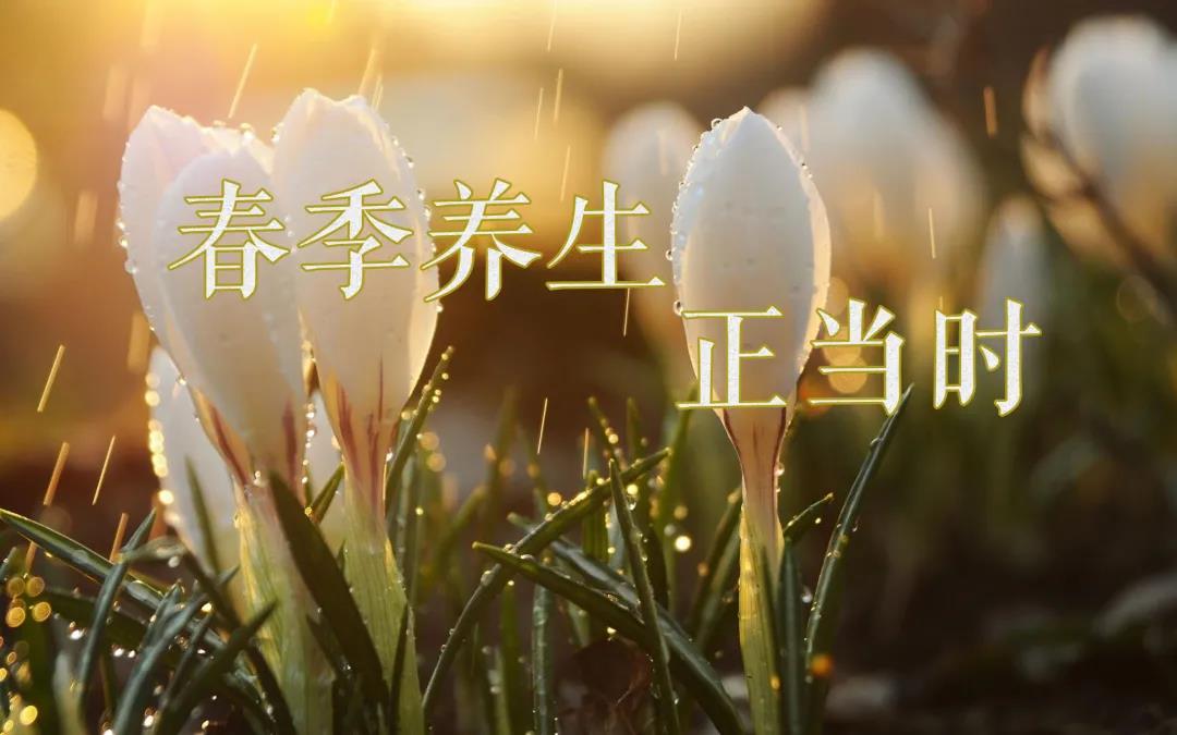 春天艾灸，陽(yáng)上增陽(yáng)，這些技巧別錯過(guò)！