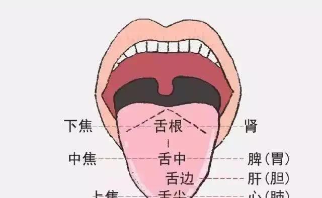 身體好不好，舌頭全知道