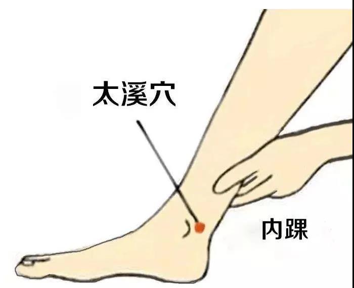 護腎養腎？這六大穴位就夠了！